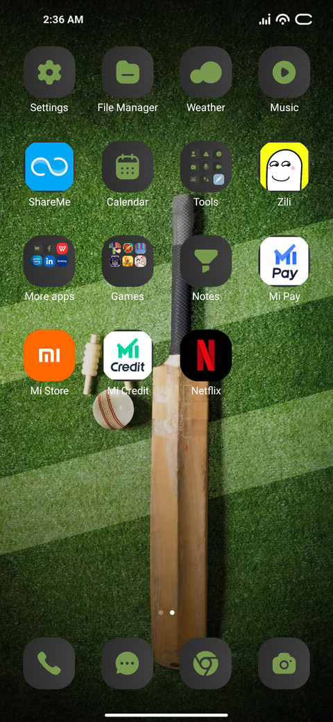 Bat Cricket screenshot