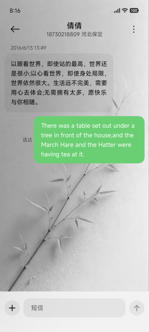 简约雅致 screenshot