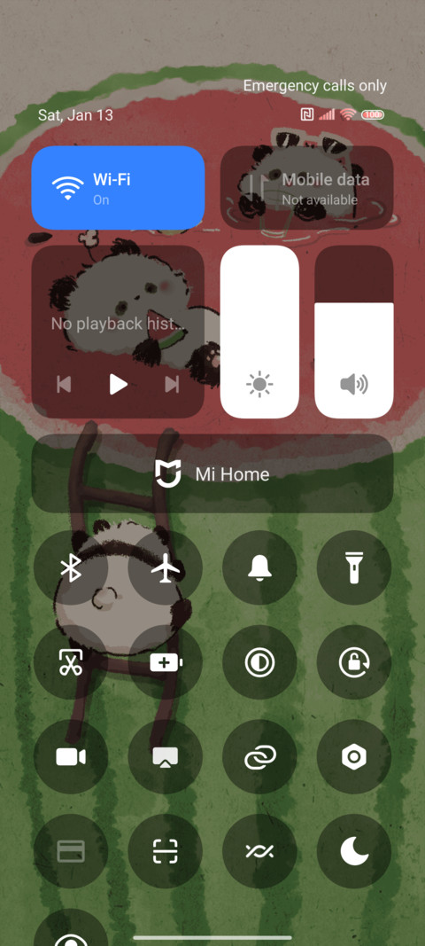 Watermelon summer screenshot