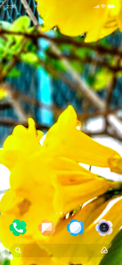 Yellow Elder_DWM2 screenshot