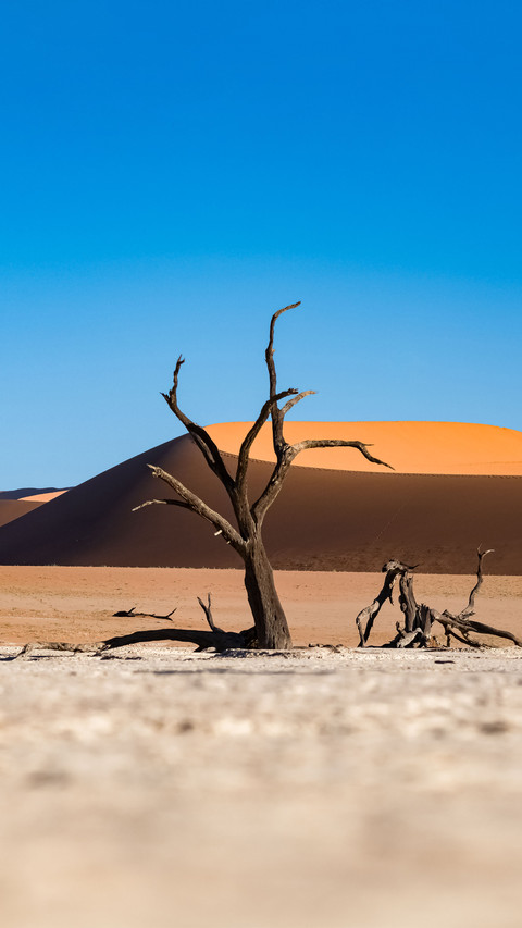 Pure desert screenshot