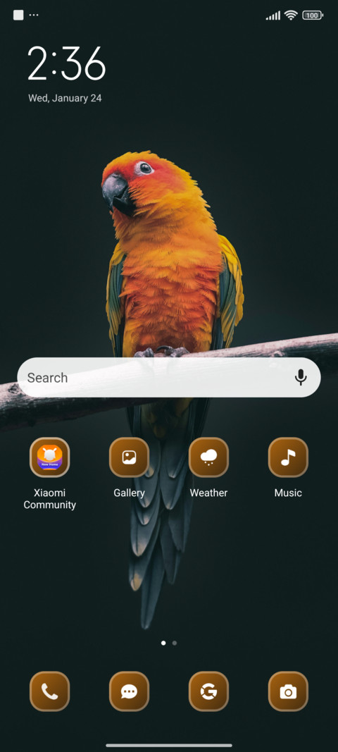 Golden Parrot screenshot
