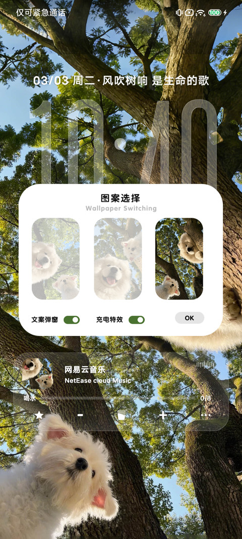 治愈小狗 树影摇晃 screenshot