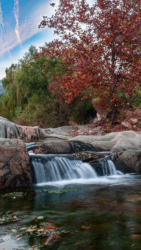 Autumn colors stretch endlessly screenshot