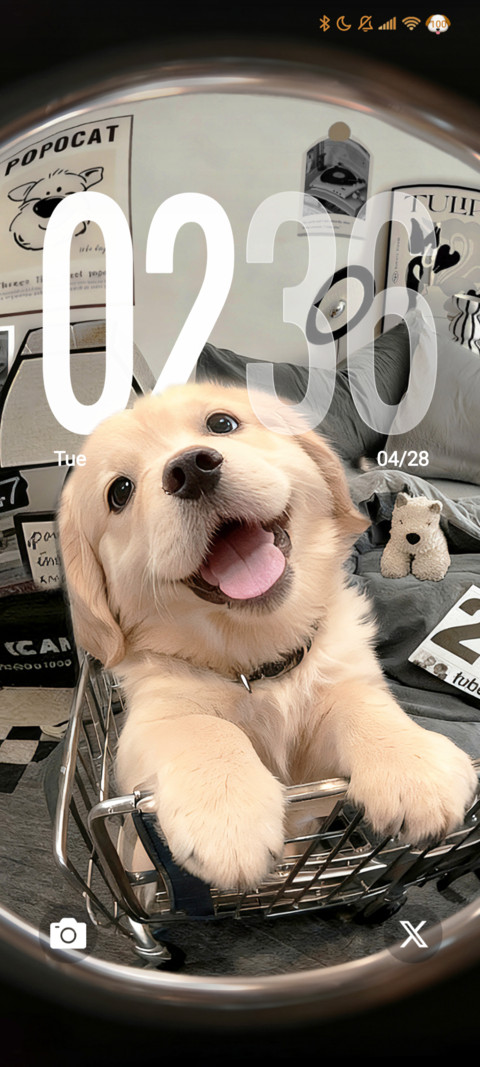 Golden retriever screenshot