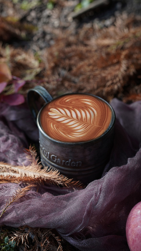 Why do you get fat after drinking coffee screenshot