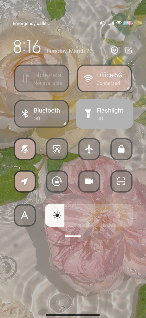 Spring flower screenshot