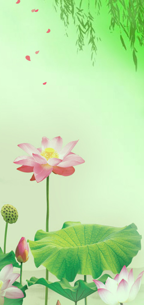 爱莲说  动态 screenshot