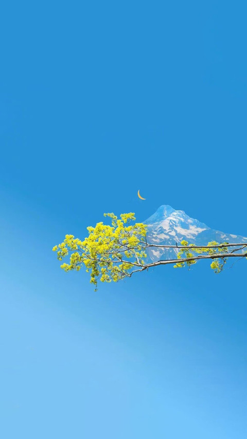 Blue screenshot