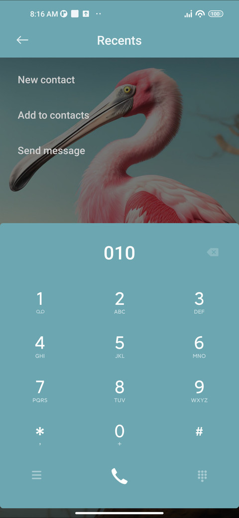 Bird screenshot