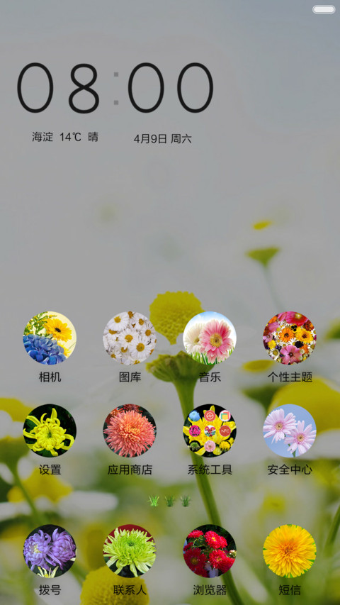 清新菊 screenshot