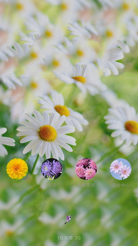 清新菊 screenshot