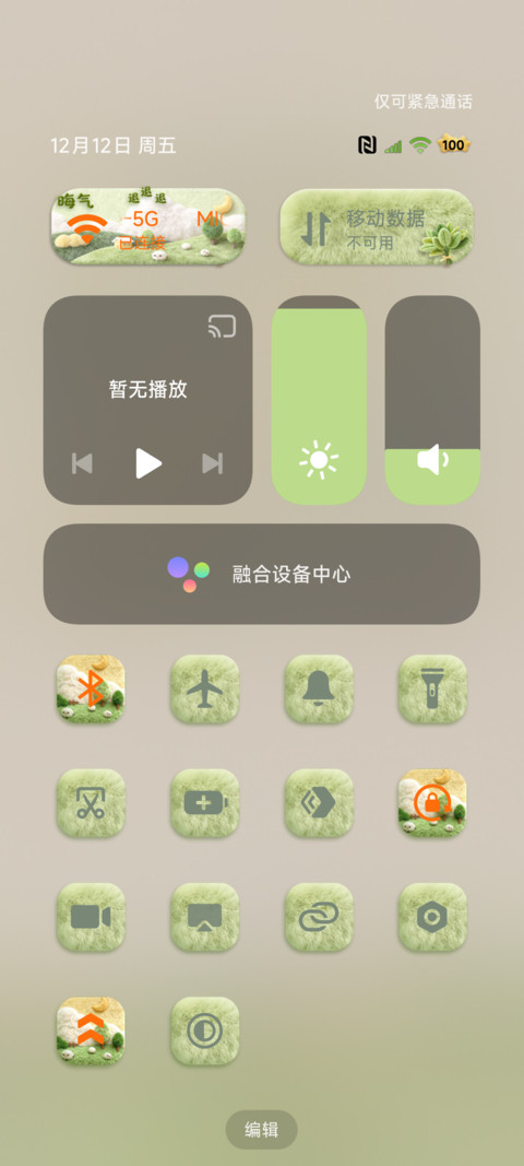 毛绒柚子叶 大图标 screenshot