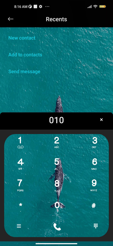 Whale emergence screenshot