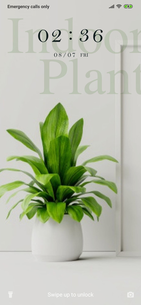 Indoor Plants_3MDS screenshot