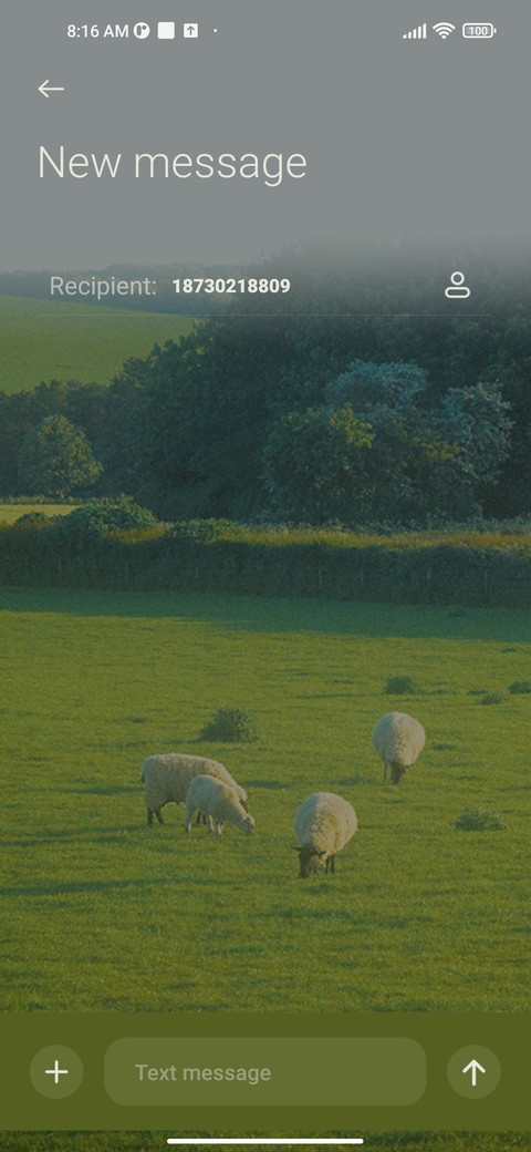 Spring simplicity screenshot