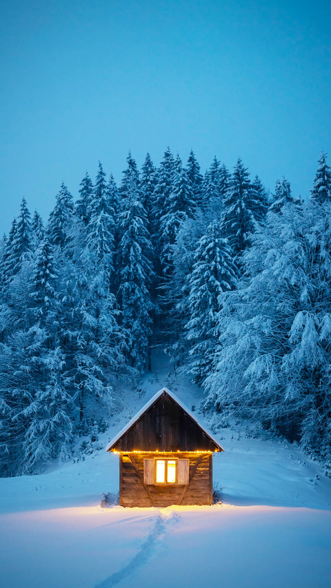 Fantastic winter landscape with glowing wooden cabin in snow screenshot