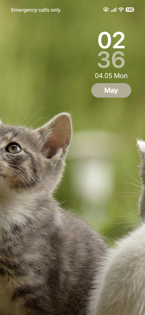 Kitty Cuddles screenshot