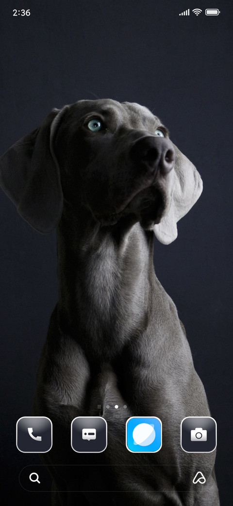 My Dog screenshot