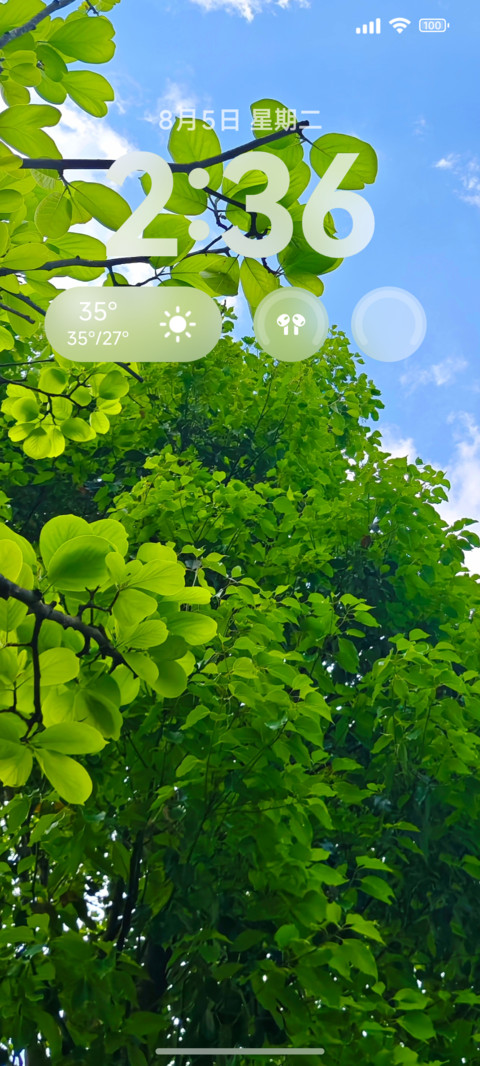 H5 screenshot