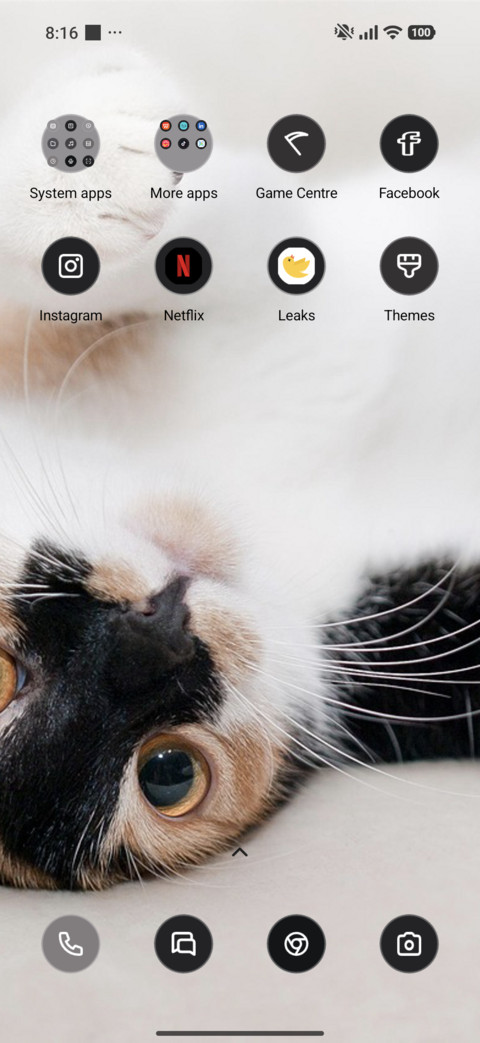Fluffy Paws screenshot