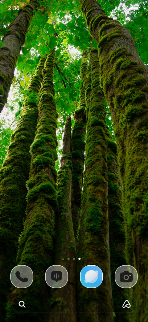 Mossy Circle screenshot