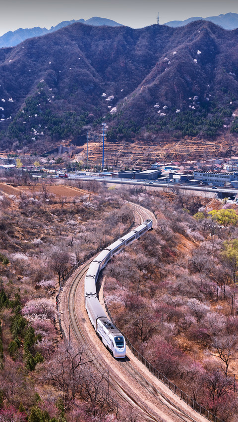Beautiful Railway With Flowers on Both Sides screenshot