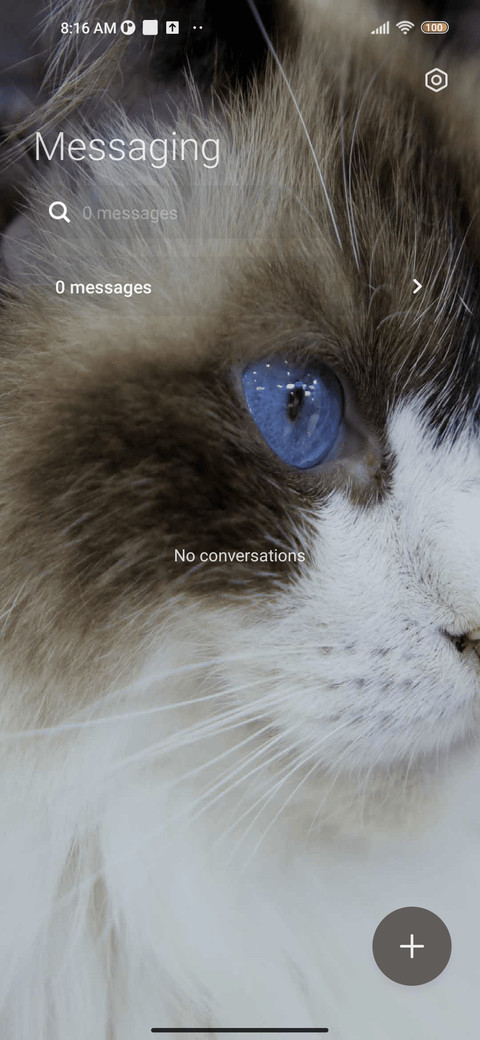 Fur cat screenshot