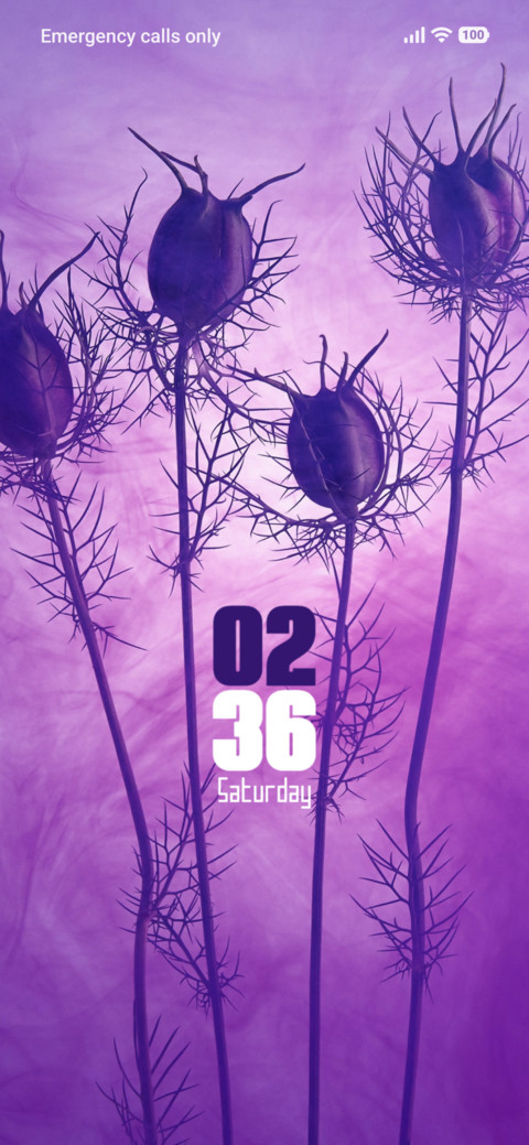 Thorny Flowers screenshot