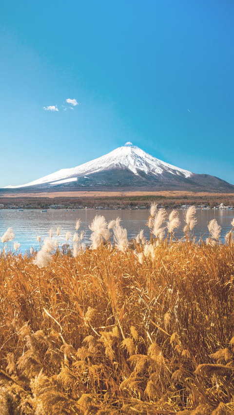 富士山活火山 screenshot