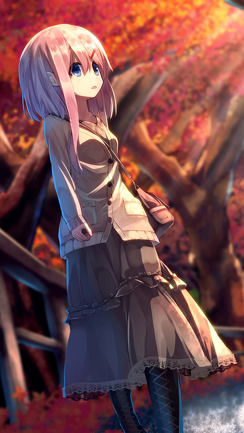 枫叶下的世界 screenshot