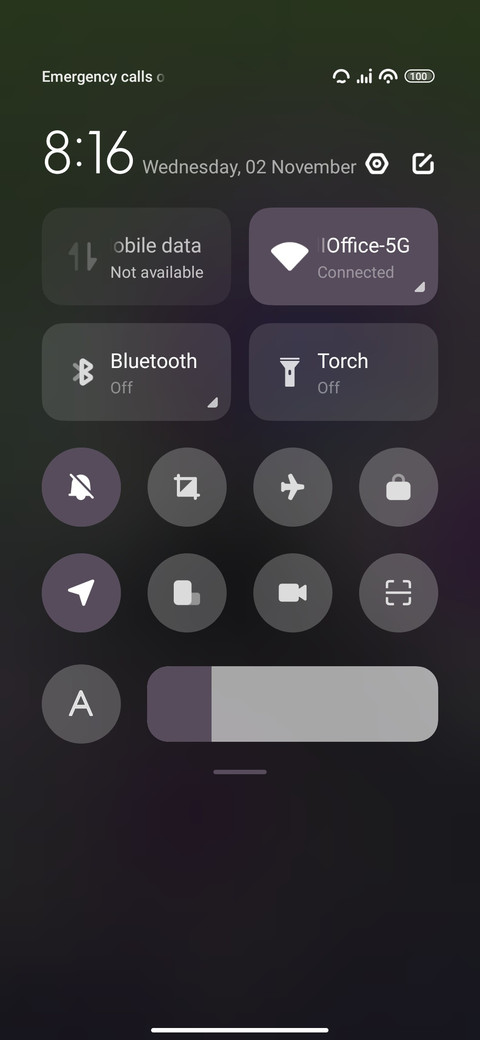 Purple Tulip screenshot