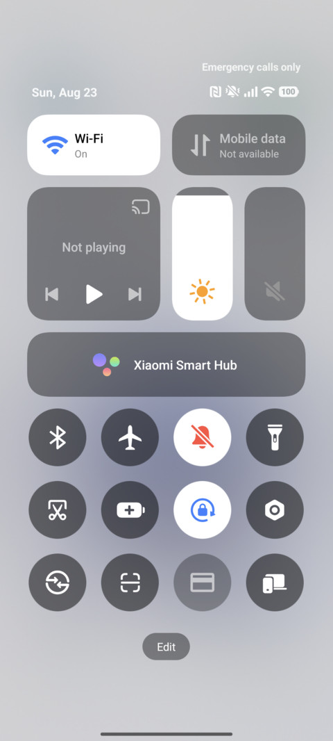 Matte Glass Fruit screenshot