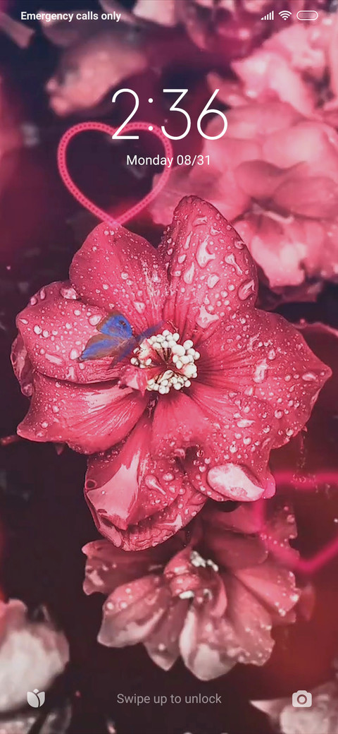 Blossom KPV screenshot