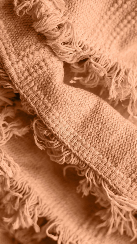 Camel blanket screenshot