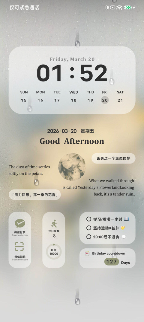 窗上的花雨季 screenshot