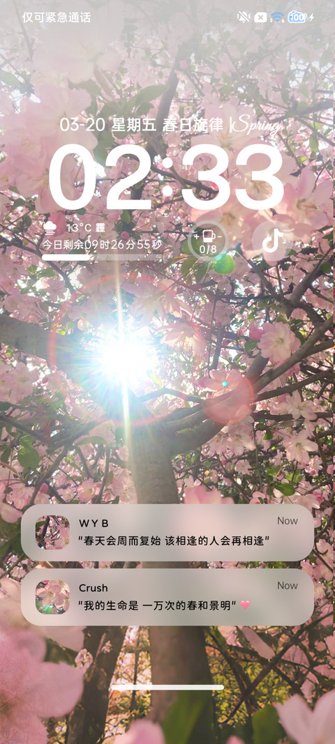 丁达尔 春日进行时 screenshot