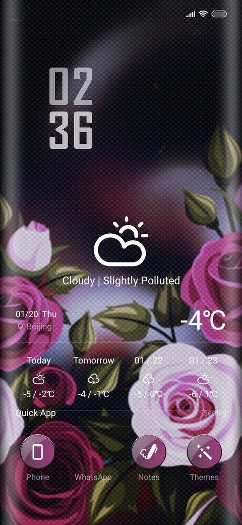 Rossy screenshot