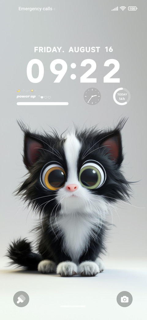 fluffy cat screenshot