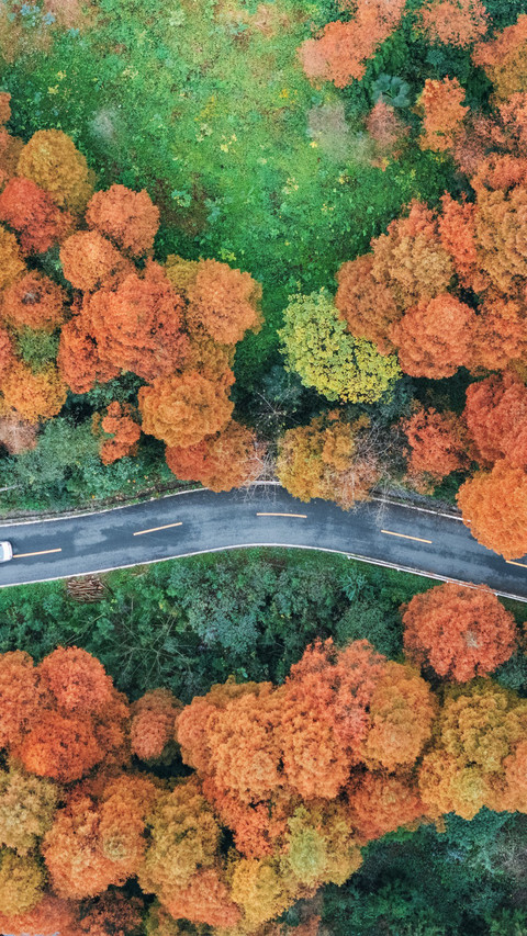 Autumn Day Zhao Gong Mountain Water Pine Forest Road screenshot