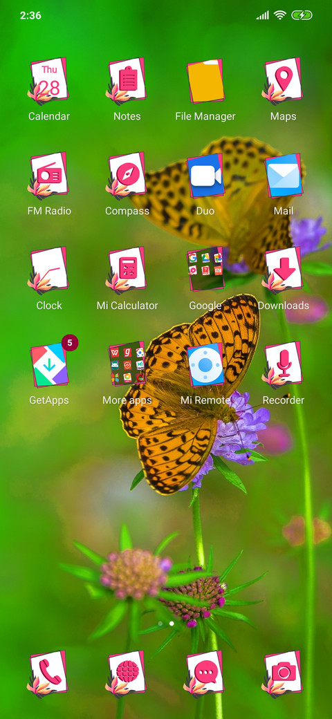 Butterfly on flower_3MDP screenshot