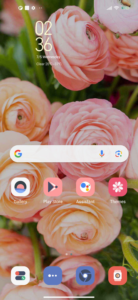 Pink rose screenshot