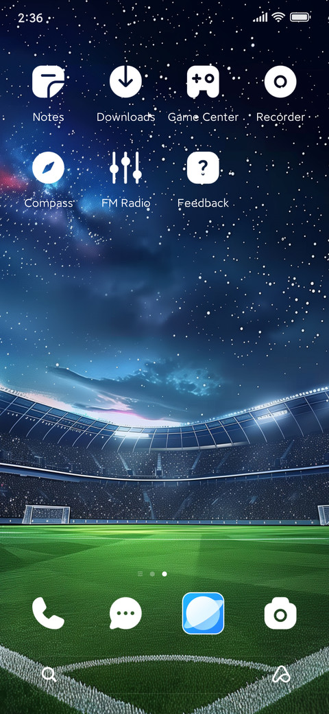 Soccer field screenshot