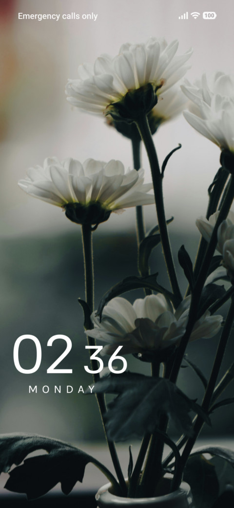 White Elegance screenshot