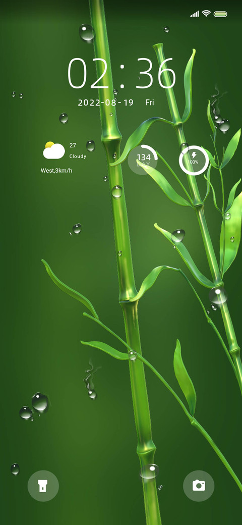 Green bamboo screenshot