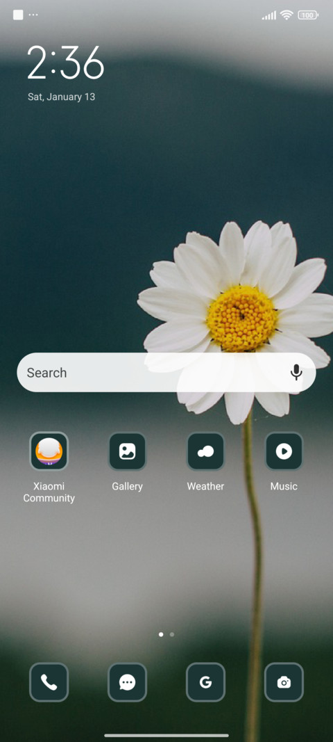 Daisy screenshot