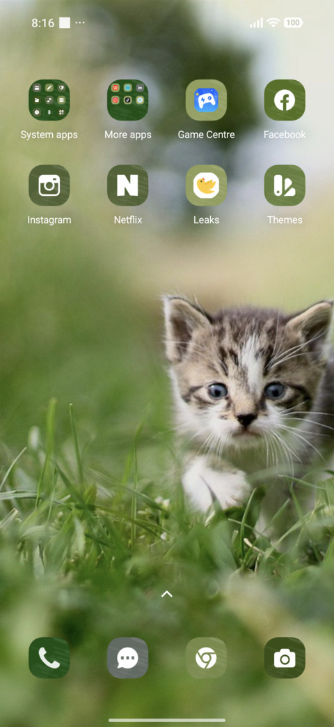 Green Cat screenshot
