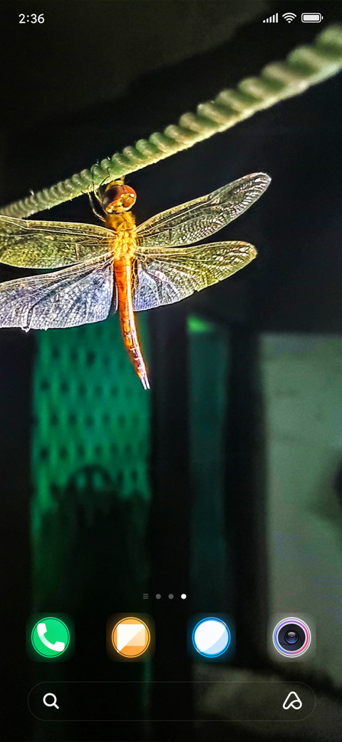 Dragon Fly_DWM2 screenshot