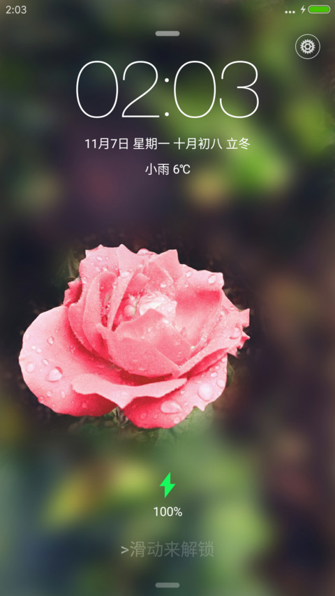 滴水玫瑰 screenshot