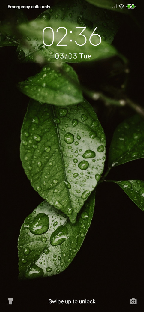 GreenLeaves_3MDP screenshot